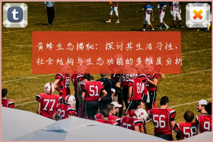 黄蜂生态揭秘：探讨其生活习性、社会结构与生态功能的多维度分析