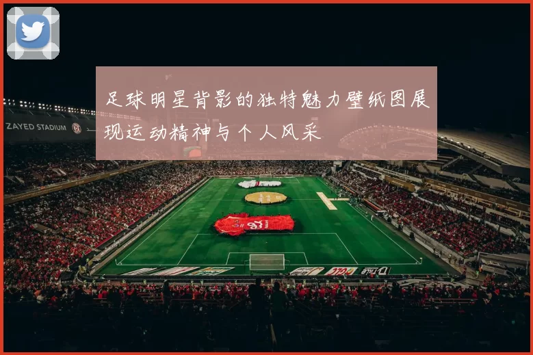 足球明星背影的独特魅力壁纸图展现运动精神与个人风采