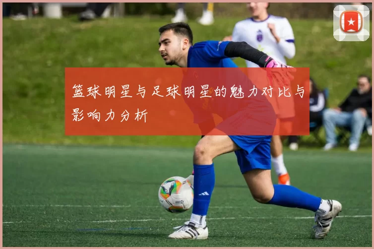 篮球明星与足球明星的魅力对比与影响力分析