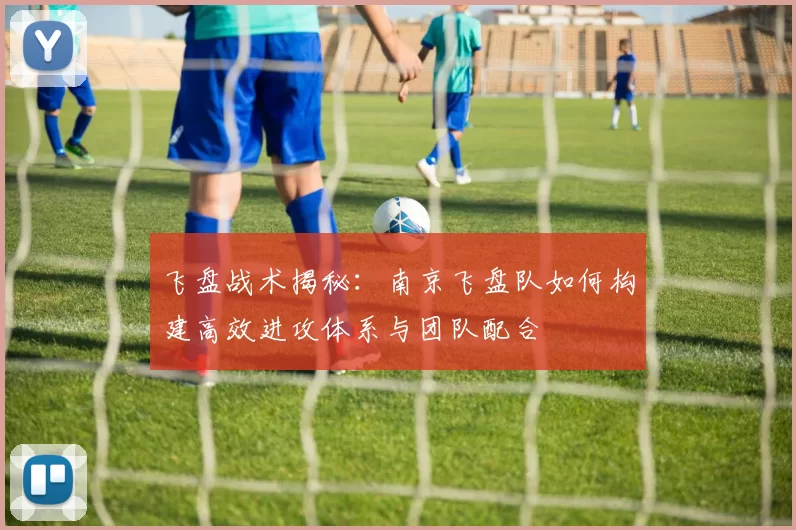飞盘战术揭秘：南京飞盘队如何构建高效进攻体系与团队配合