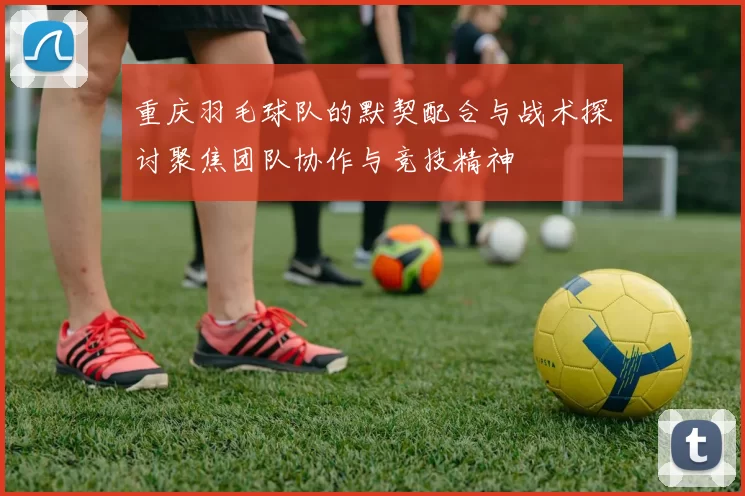 重庆羽毛球队的默契配合与战术探讨聚焦团队协作与竞技精神