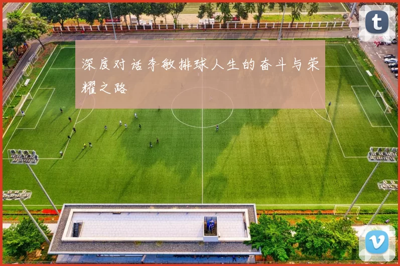 深度对话李敏排球人生的奋斗与荣耀之路