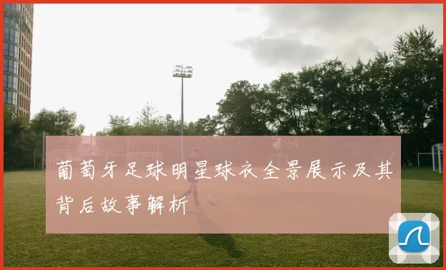 葡萄牙足球明星球衣全景展示及其背后故事解析