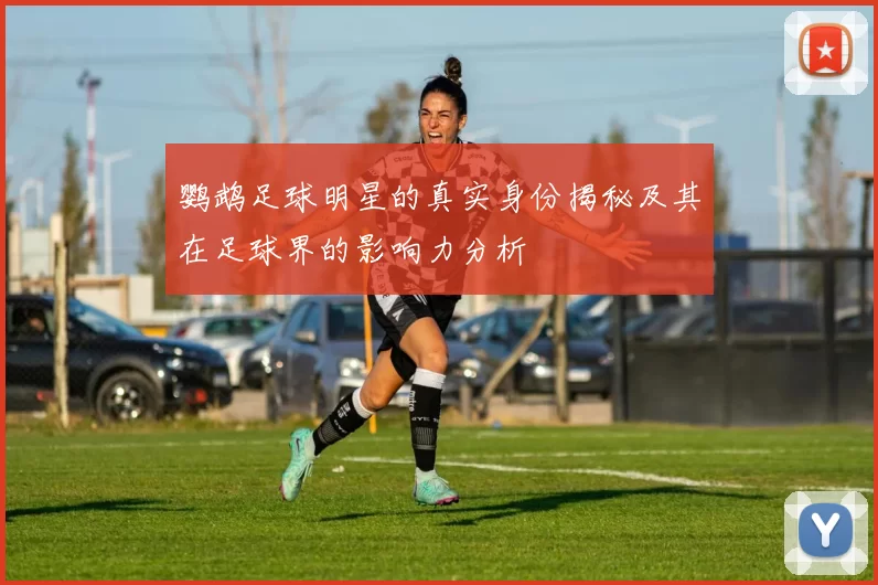 鹦鹉足球明星的真实身份揭秘及其在足球界的影响力分析