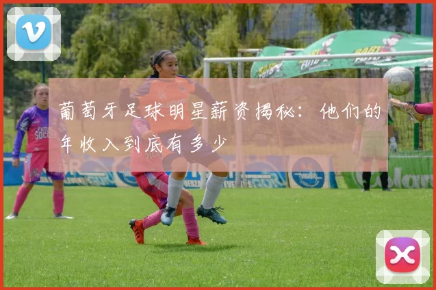 葡萄牙足球明星薪资揭秘：他们的年收入到底有多少