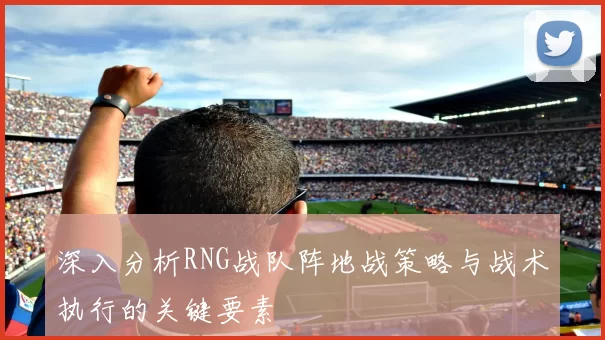 深入分析RNG战队阵地战策略与战术执行的关键要素