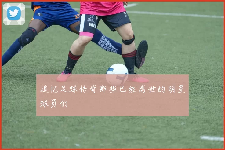 追忆足球传奇那些已经离世的明星球员们