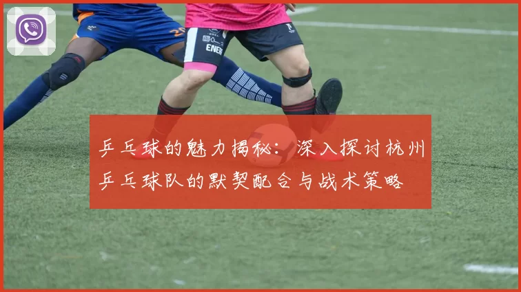 乒乓球的魅力揭秘：深入探讨杭州乒乓球队的默契配合与战术策略