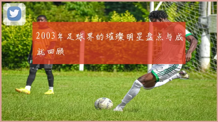 2003年足球界的璀璨明星盘点与成就回顾