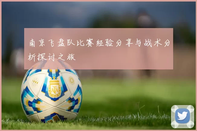 南京飞盘队比赛经验分享与战术分析探讨之旅