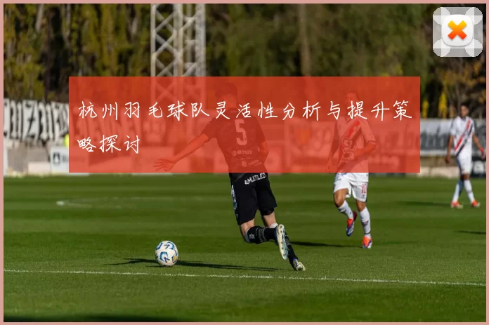 杭州羽毛球队灵活性分析与提升策略探讨