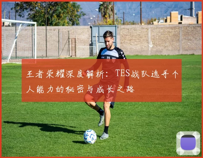 王者荣耀深度解析：TES战队选手个人能力的秘密与成长之路