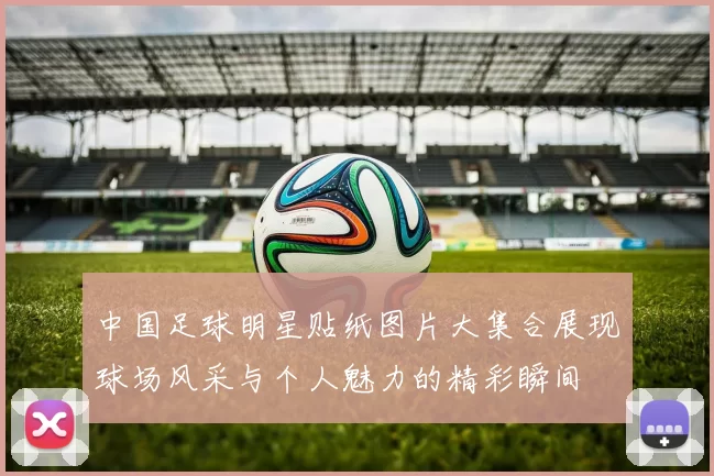 中国足球明星贴纸图片大集合展现球场风采与个人魅力的精彩瞬间