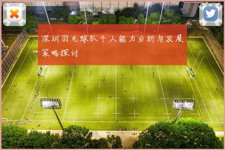 深圳羽毛球队个人能力分析与发展策略探讨
